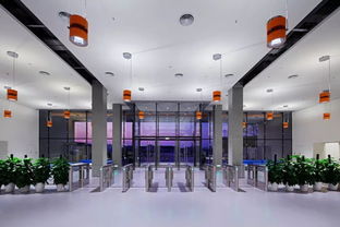 寶鷹精品項目 國際學校裝飾典范 薈同學校深圳校區